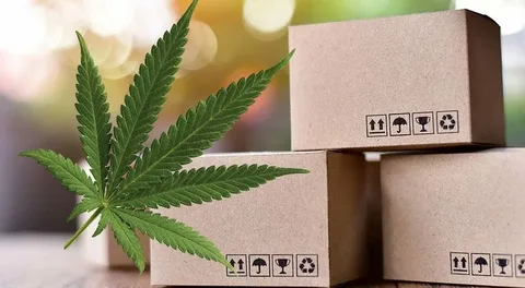hemp boxes