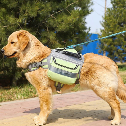 Buy Home & Pet’s Essentials Online – Top Quality Products at Best Prices